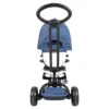 Evolutionary Tricycle Prime Stroller