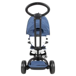 Evolutionary Tricycle Prime Stroller
