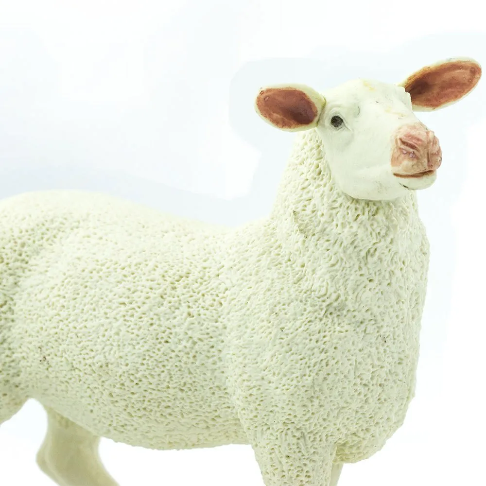 Ewe Figure 4 Ewe Figure - Image 4