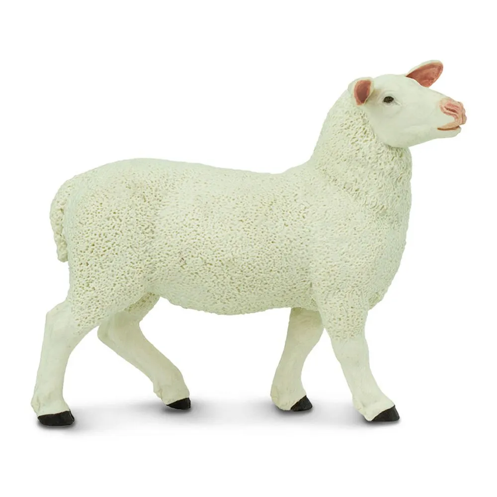 Ewe Figure 1 Ewe Figure