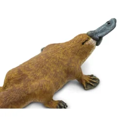 Platypus Figure -Toys Shop safari ltd platypus figure 3