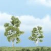 Woodland Scenics TR1603 Premium Sycamore Tree, 3" To 2.25" (2)